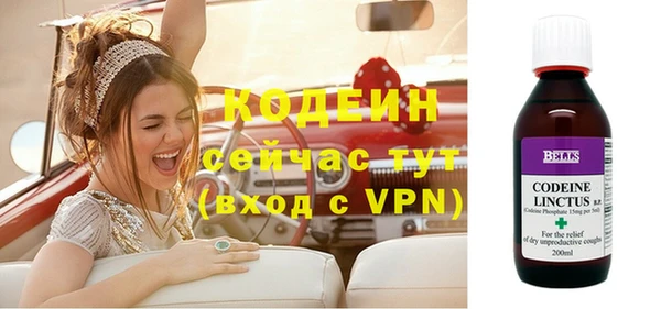 гашик Гусев