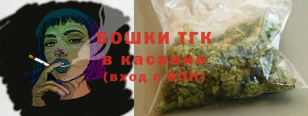 гашик Гусев