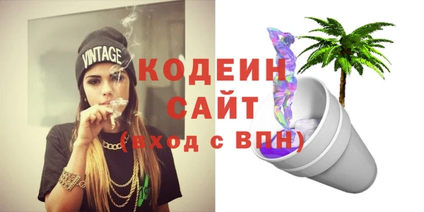 амф Гусиноозёрск