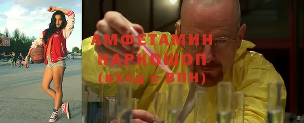 амф Гусиноозёрск