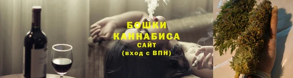 гашик Гусев