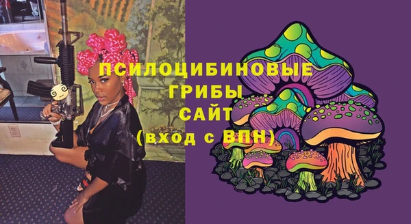 амф Гусиноозёрск