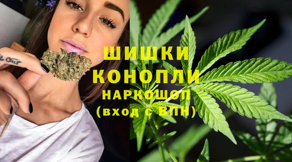 гашик Гусев