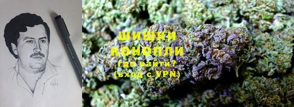 амф Гусиноозёрск
