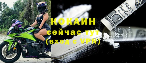 гашик Гусев