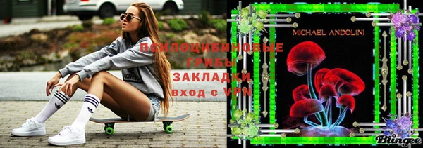 амф Гусиноозёрск
