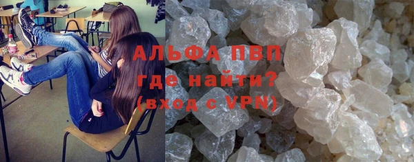 амф Гусиноозёрск
