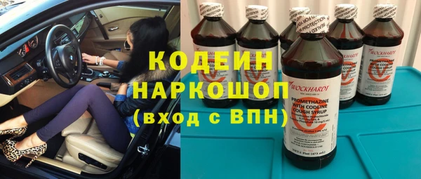 прущие грибы Дмитриев
