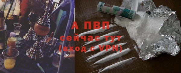 гашик Гусев